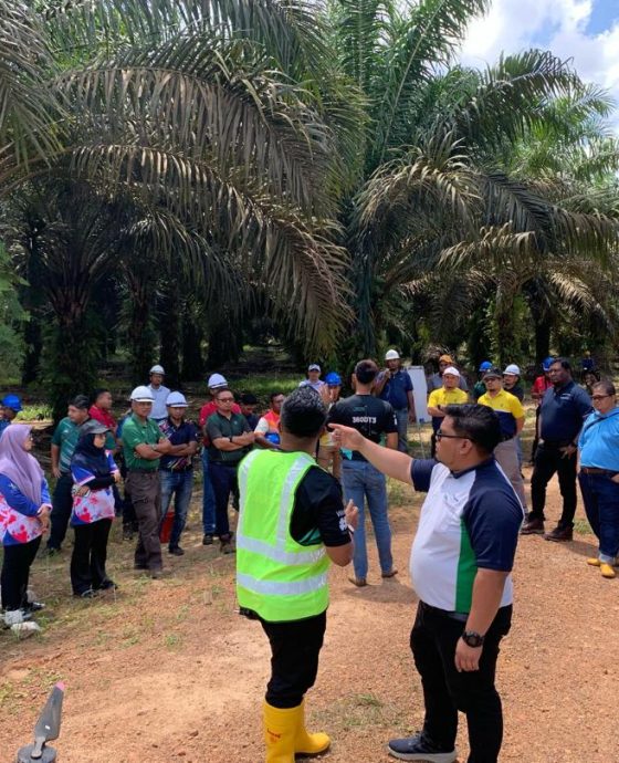 Advansia Palm Oil Solution in Malaysia