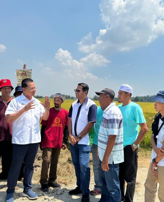 Advansia Paddy Solution