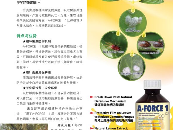 Agroworld Sept 2025