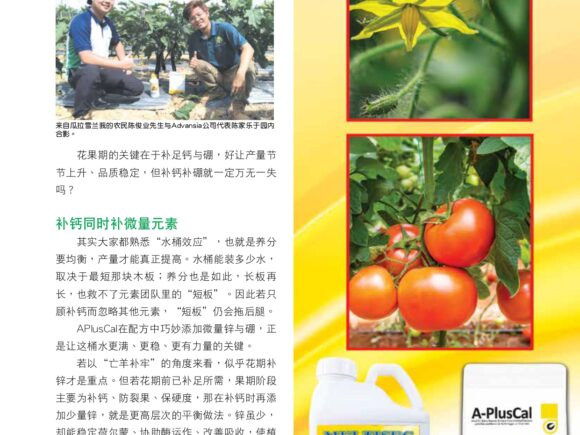 Agroworld Dec 25: Inside Malaysia’s Smart Crop Revolution