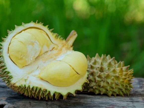 Durian Flowering 2026: Forecast, Season Timeline & Farming Tips