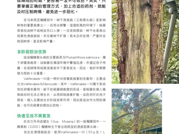 Agroworld April 2026